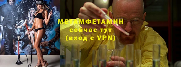 прущие грибы Вязьма