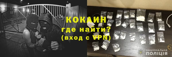 прущие грибы Вязьма