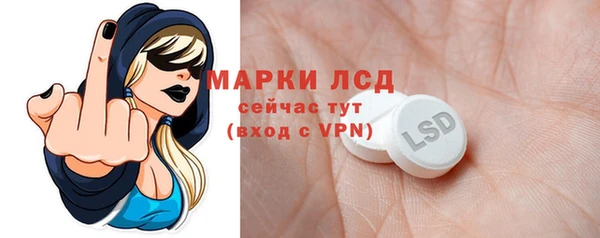 прущие грибы Вязьма