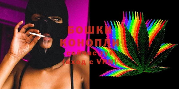 прущие грибы Вязьма