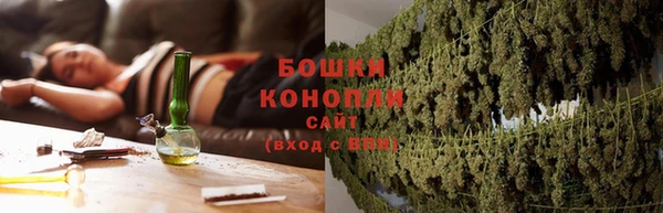 прущие грибы Вязьма