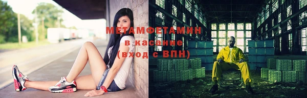 прущие грибы Вязьма