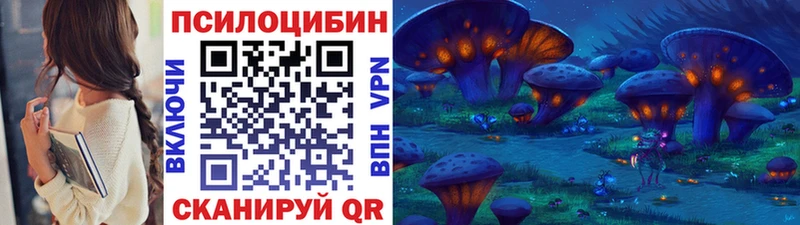 blacksprut как войти  Иннополис  Псилоцибиновые грибы мухоморы 