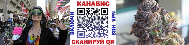 Конопля гибрид  Иннополис 